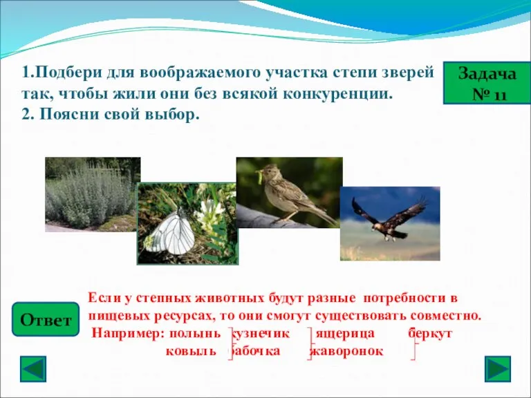 1.Подбери для воображаемого участка степи зверей так, чтобы жили они без всякой