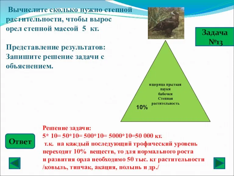 Задача №13 Вычислите сколько нужно степной растительности, чтобы вырос орел степной массой