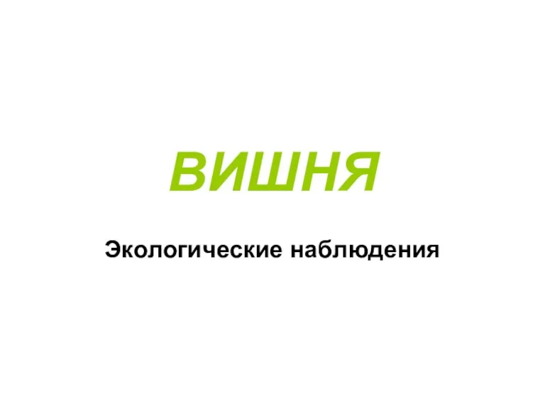 Вишня