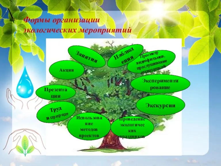 Использование методов проектов Презентации Акции Занятия Труд в природе Просмотр видеофильмов, прослушивание