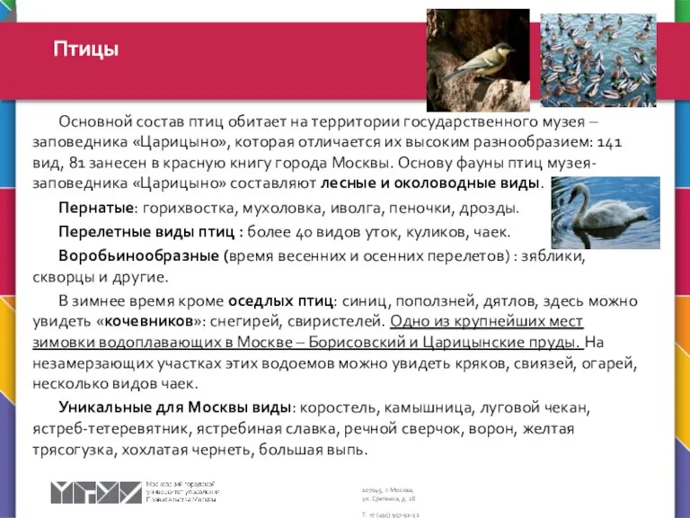 Основной состав птиц обитает на территории государственного музея – заповедника «Царицыно», которая