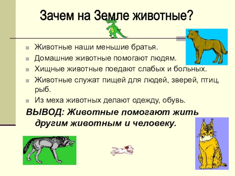 Животные наши меньшие братья. Домашние животные помогают людям. Хищные животные поедают слабых