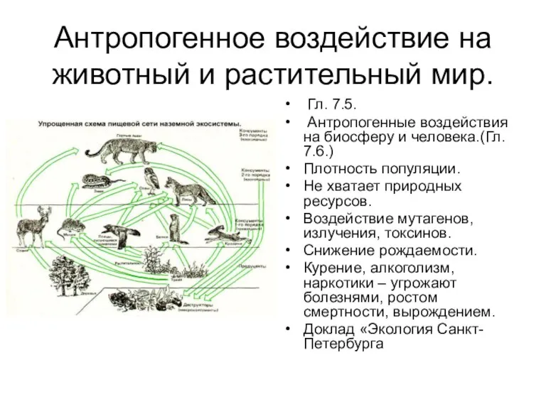 Антропогенное воздействие на животный и растительный мир. Гл. 7.5. Антропогенные воздействия на