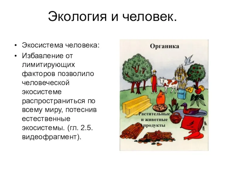 Экология и человек. Экосистема человека: Избавление от лимитирующих факторов позволило человеческой экосистеме