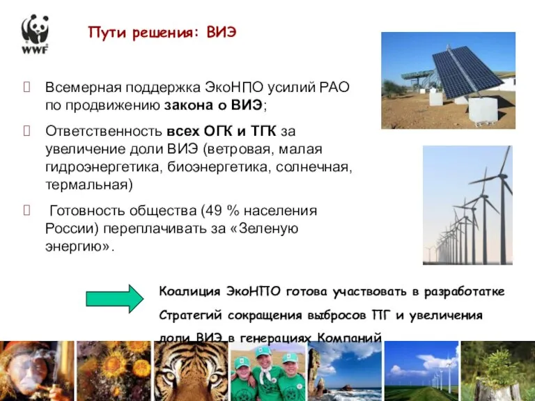 Пути решения: ВИЭ Всемерная поддержка ЭкоНПО усилий РАО по продвижению закона о