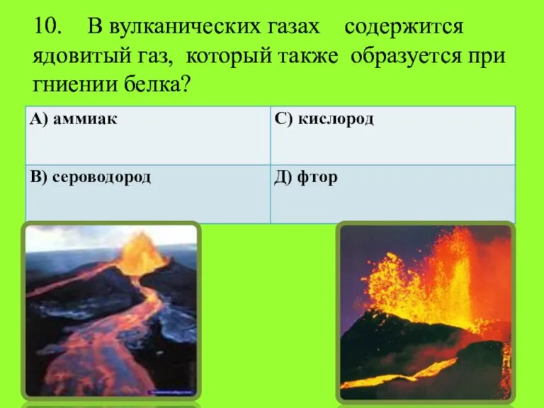 10. В вулканических газах содержится ядовитый газ, который также образуется при гниении белка?