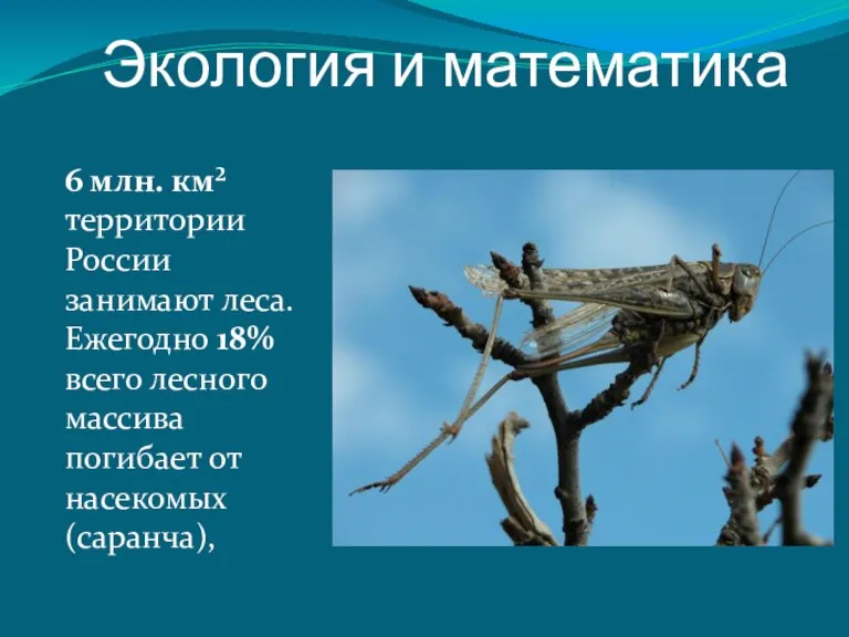 6 млн. км² территории России занимают леса. Ежегодно 18% всего лесного массива