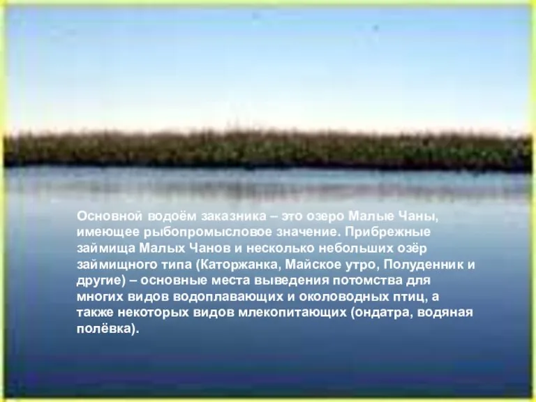 Основной водоём заказника – это озеро Малые Чаны, имеющее рыбопромысловое значение. Прибрежные