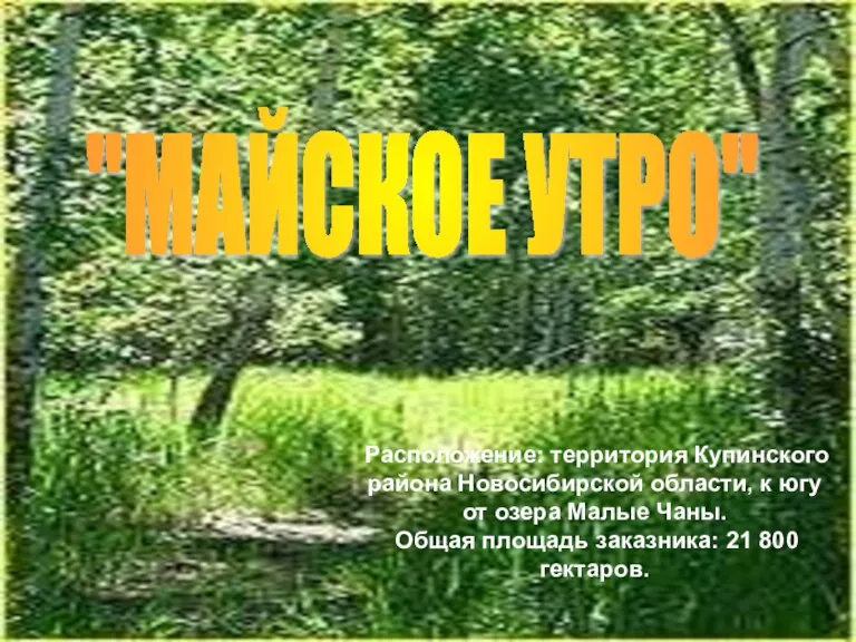 Расположение: территория Купинского района Новосибирской области, к югу от озера Малые Чаны.