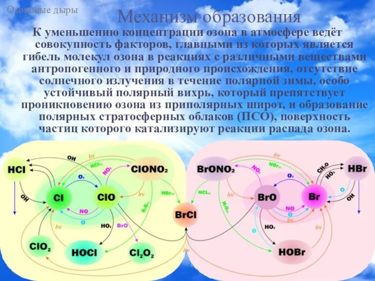 Механизм образования К уменьшению концентрации озона в атмосфере ведёт совокупность факторов, главными