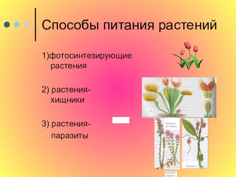 Способы питания растений 1)фотосинтезирующие растения 2) растения- хищники 3) растения- паразиты