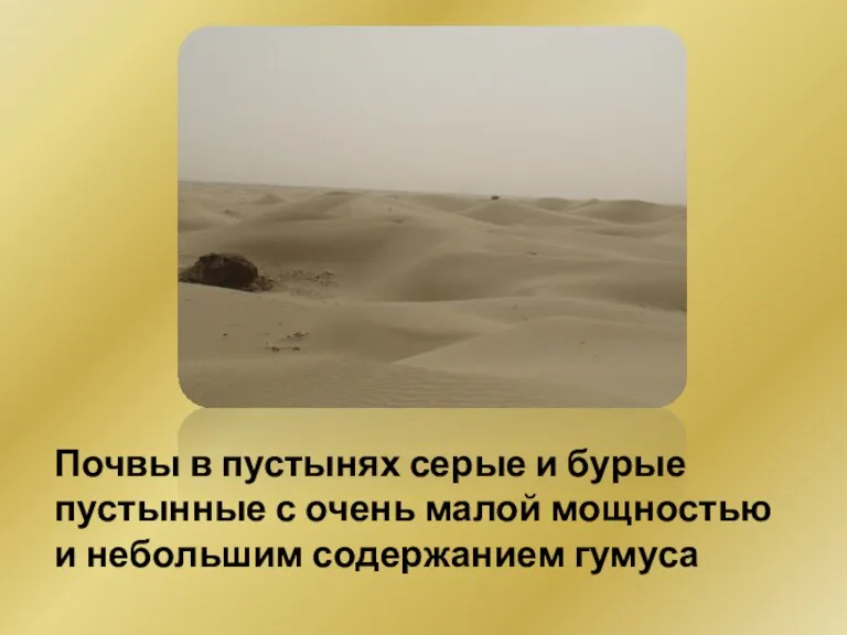 Почвы в пустынях серые и бурые пустынные с очень малой мощностью и небольшим содержанием гумуса