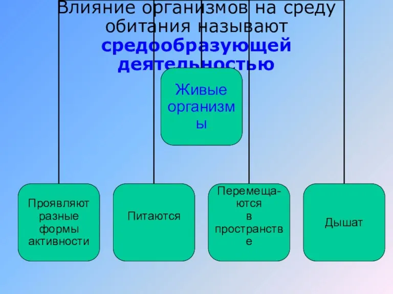 Влияние организмов на среду обитания называют средообразующей деятельностью