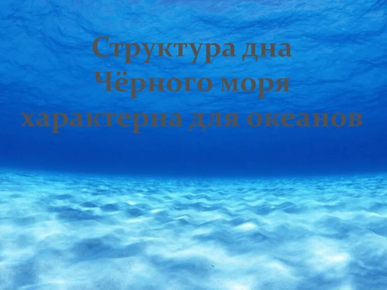 Структура дна Чёрного моря характерна для океанов