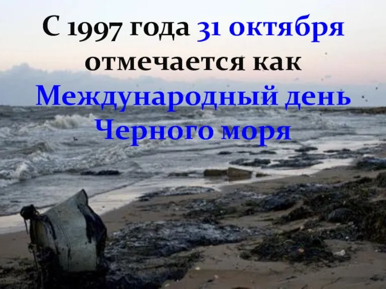 С 1997 года 31 октября отмечается как Международный день Черного моря