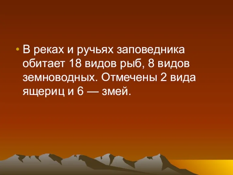 В реках и ручьях заповедника обитает 18 видов рыб, 8 видов земноводных.