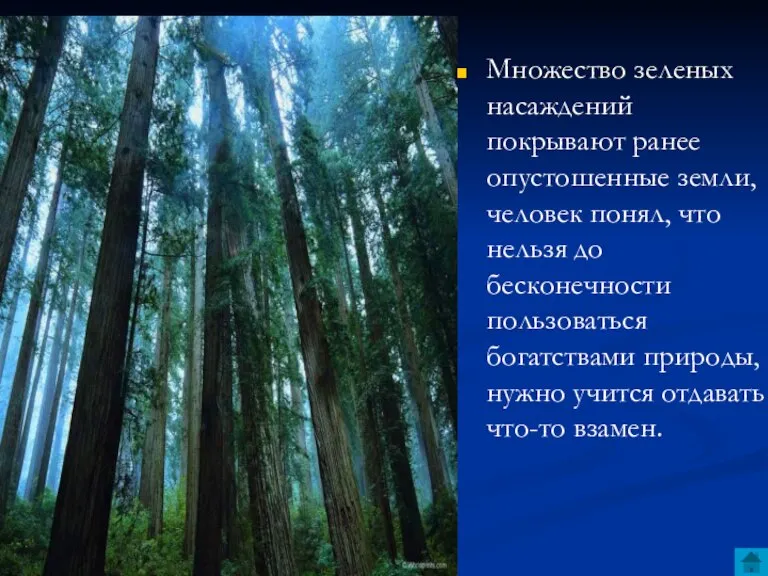 Множество зеленых насаждений покрывают ранее опустошенные земли, человек понял, что нельзя до