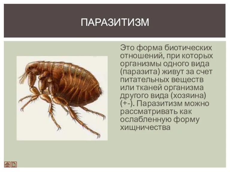 Это форма биотических отношений, при которых организмы одного вида (паразита) живут за