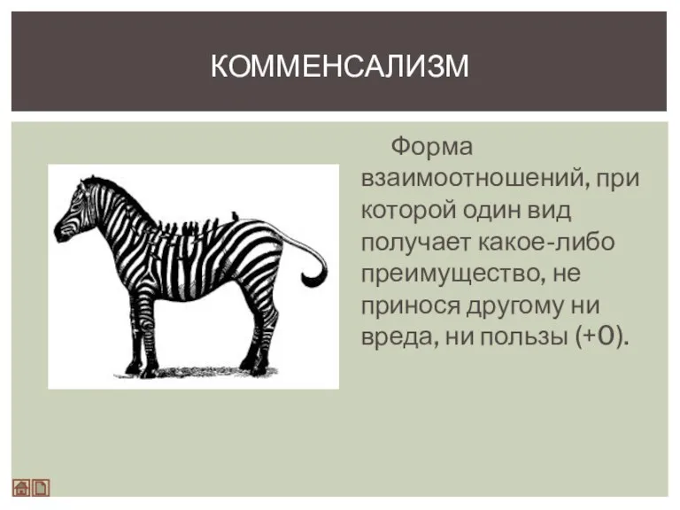 Форма взаимоотношений, при которой один вид получает какое-либо преимущество, не принося другому