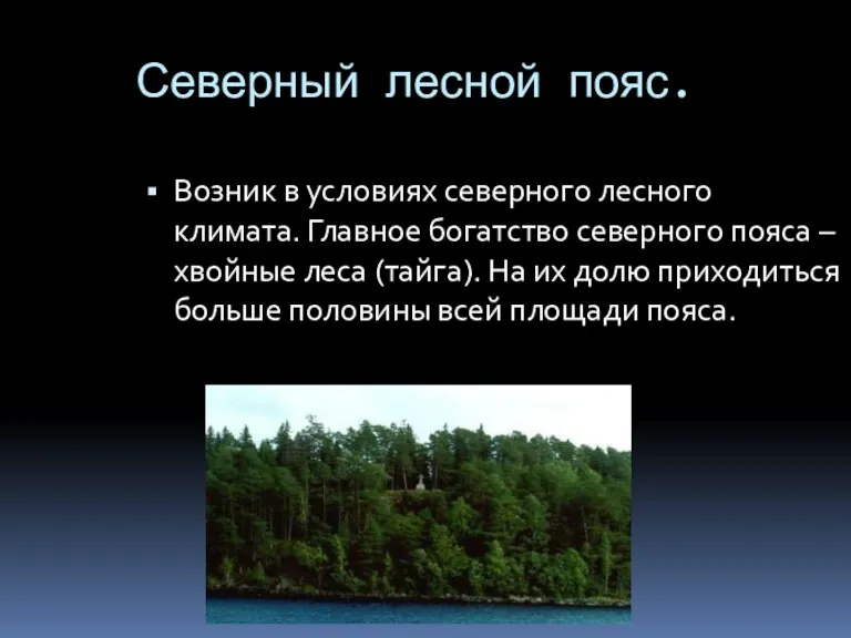 Северный лесной пояс. Возник в условиях северного лесного климата. Главное богатство северного