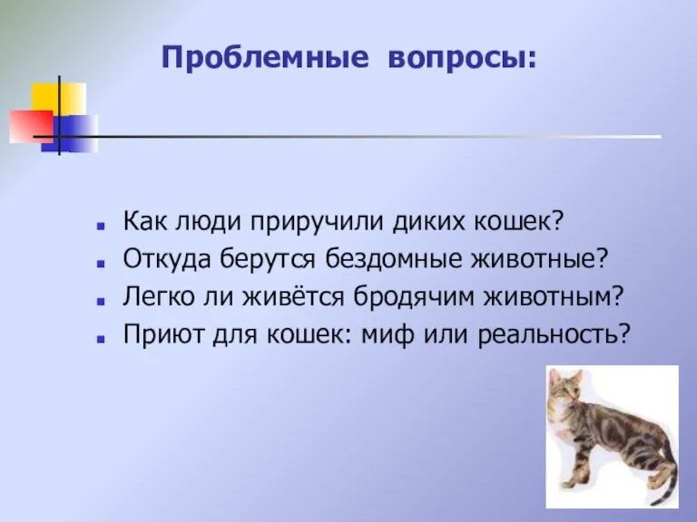 Проблемные вопросы: Как люди приручили диких кошек? Откуда берутся бездомные животные? Легко
