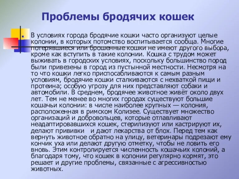 Проблемы бродячих кошек В условиях города бродячие кошки часто организуют целые колонии,