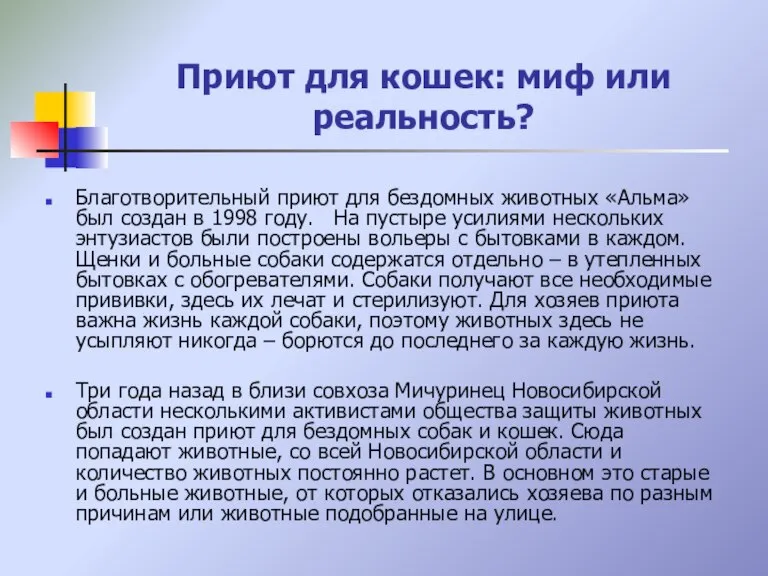 Приют для кошек: миф или реальность? Благотворительный приют для бездомных животных «Альма»