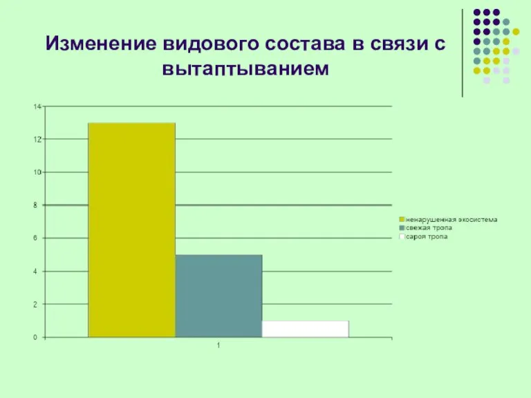 Изменение видового состава в связи с вытаптыванием