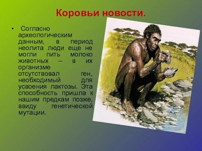 Коровьи новости. Согласно археологическим данным, в период неолита люди еще не могли