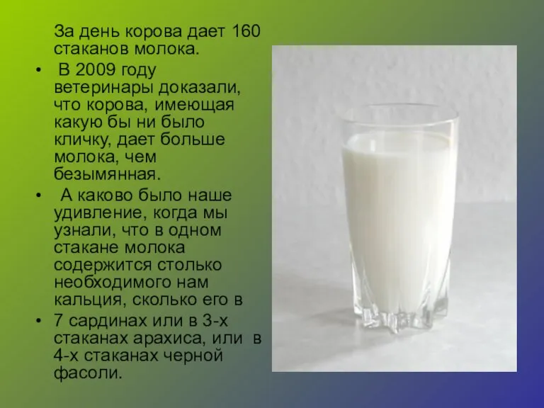 За день корова дает 160 стаканов молока. В 2009 году ветеринары доказали,