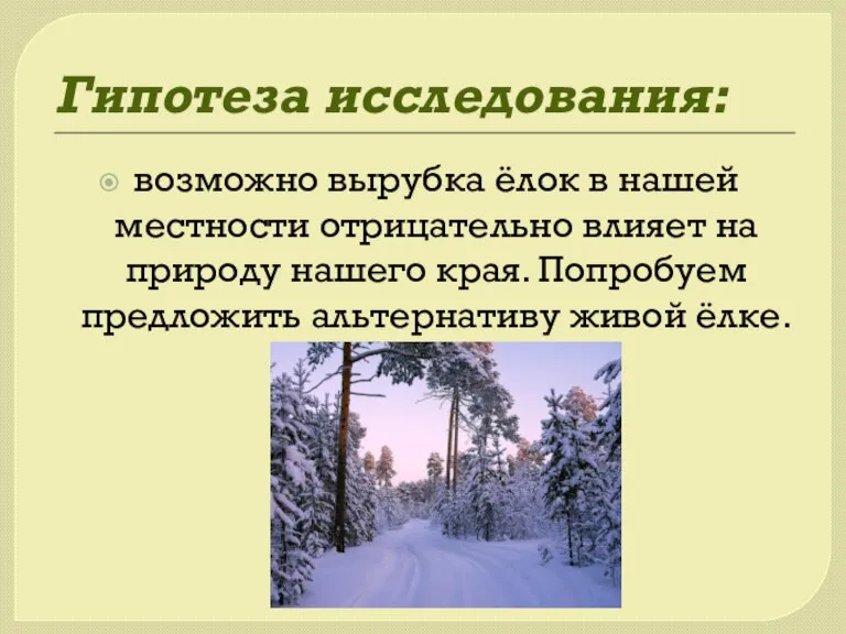 Гипотеза исследования: возможно вырубка ёлок в нашей местности отрицательно влияет на природу