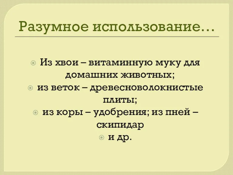 Разумное использование… Из хвои – витаминную муку для домашних животных; из веток