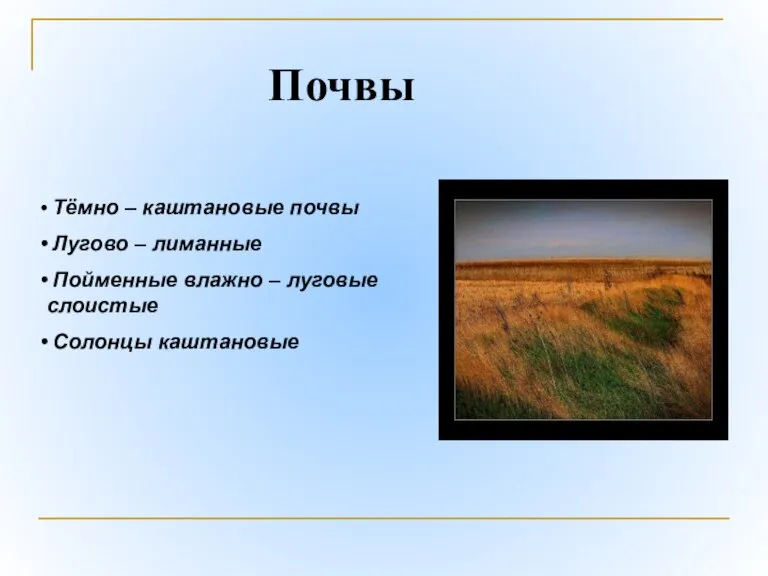 Тёмно – каштановые почвы Лугово – лиманные Пойменные влажно – луговые слоистые Солонцы каштановые Почвы