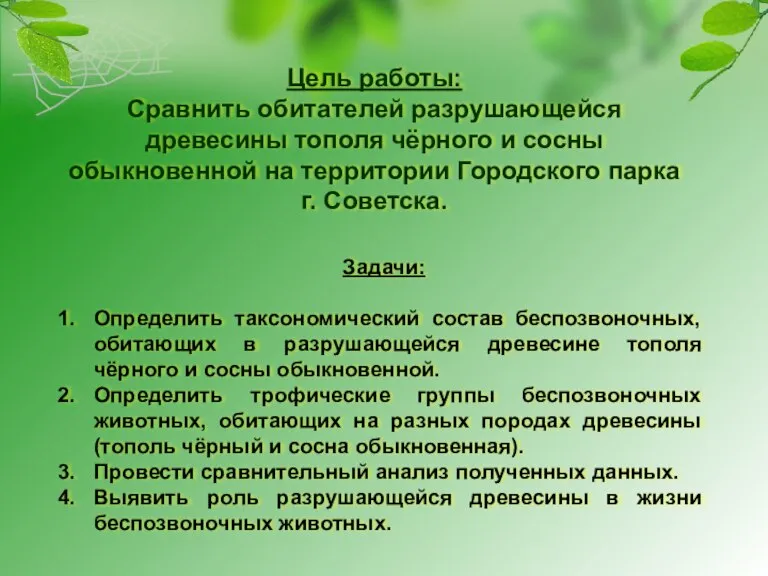 Цель работы: Сравнить обитателей разрушающейся древесины тополя чёрного и сосны обыкновенной на