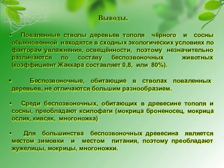 Выводы. Поваленные стволы деревьев тополя чёрного и сосны обыкновенной находятся в сходных