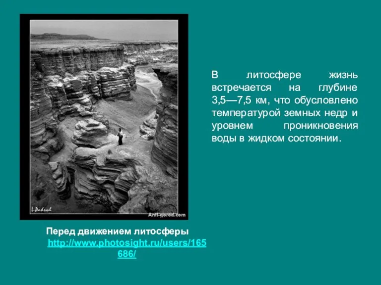 В литосфере жизнь встречается на глубине 3,5—7,5 км, что обусловлено температурой земных