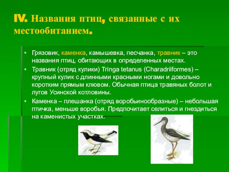 IV. Названия птиц, связанные с их местообитанием. Грязовик, каменка, камышевка, песчанка, травник