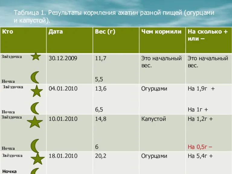 Таблица 1. Результаты кормления ахатин разной пищей (огурцами и капустой).