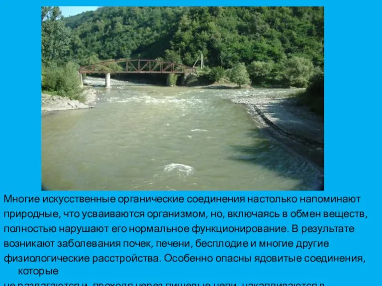 Многие искусственные органические соединения настолько напоминают природные, что усваиваются организмом, но, включаясь