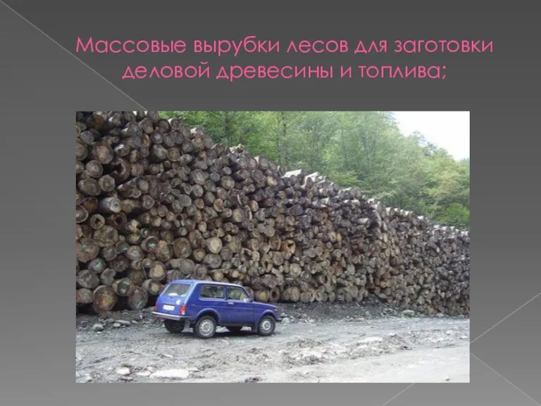 Массовые вырубки лесов для заготовки деловой древесины и топлива;