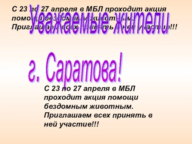 С 23 по 27 апреля в МБЛ проходит акция помощи бездомным животным.