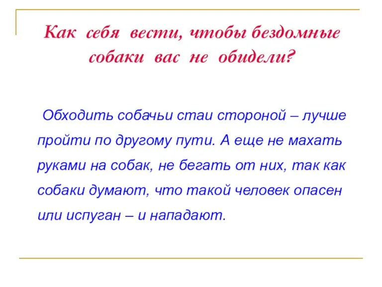 Как себя вести, чтобы бездомные собаки вас не обидели? Обходить собачьи стаи