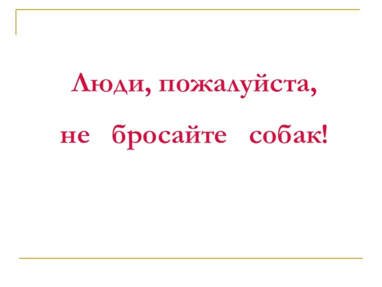 Люди, пожалуйста, не бросайте собак!