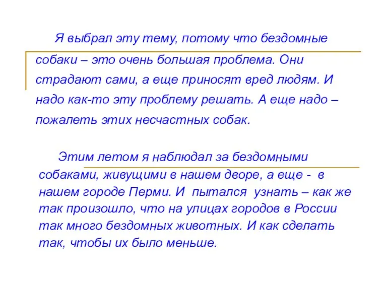 Я выбрал эту тему, потому что бездомные собаки – это очень большая