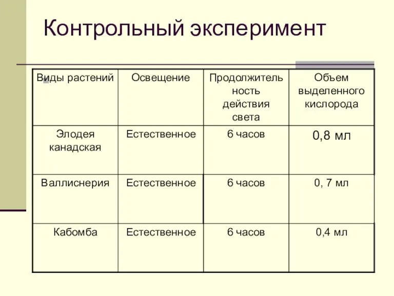 Контрольный эксперимент