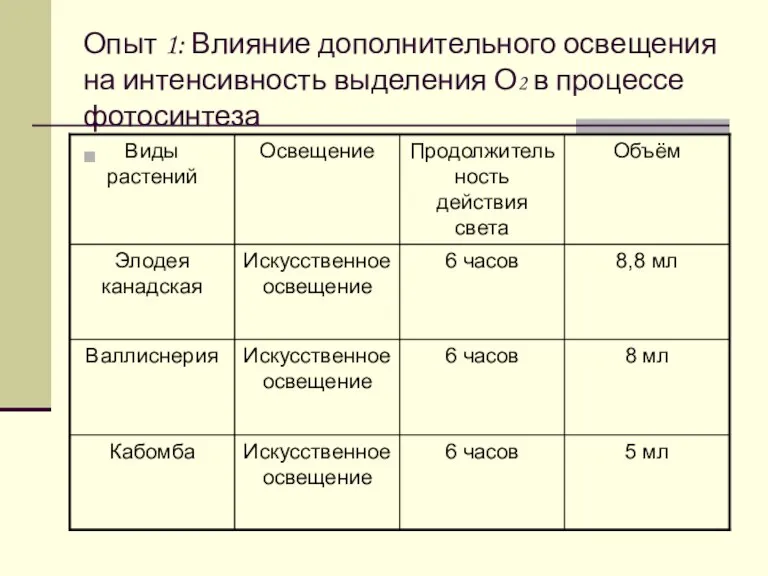 Опыт 1: Влияние дополнительного освещения на интенсивность выделения О2 в процессе фотосинтеза