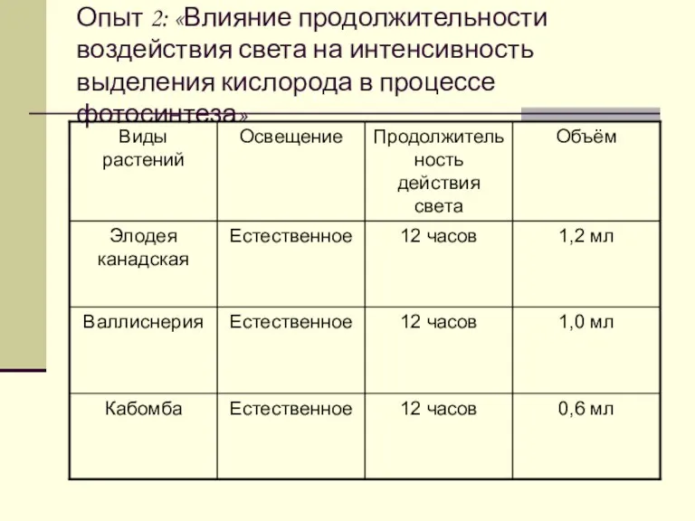 Опыт 2: «Влияние продолжительности воздействия света на интенсивность выделения кислорода в процессе фотосинтеза»