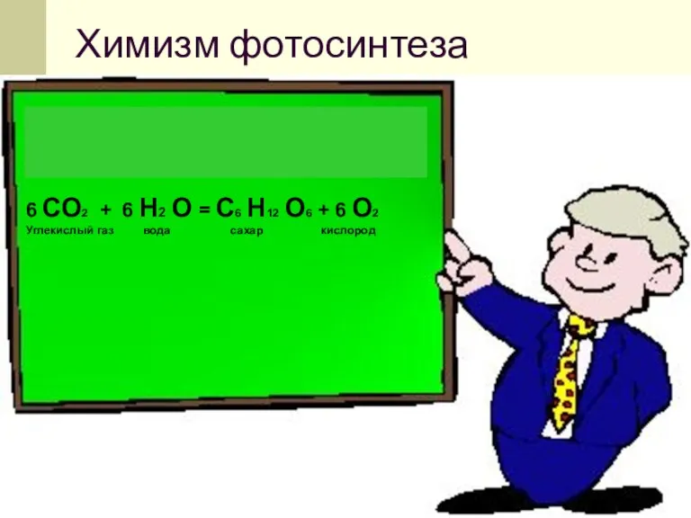 Химизм фотосинтеза 6 СО2 + 6 Н2 О = С6 Н12 О6