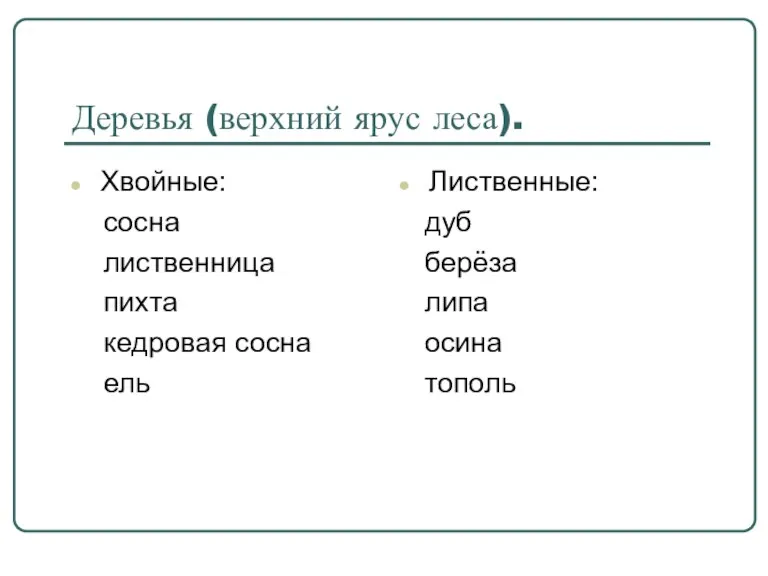 Деревья (верхний ярус леса). Хвойные: сосна лиственница пихта кедровая сосна ель Лиственные: