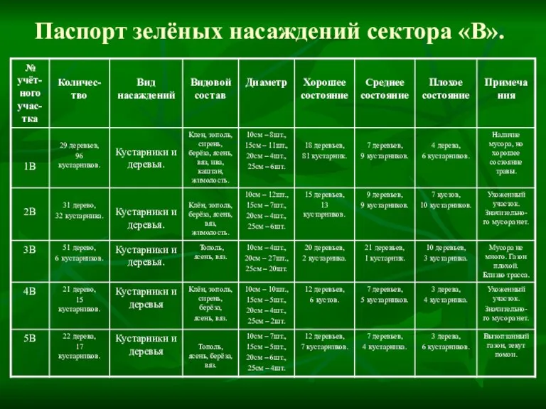 Паспорт зелёных насаждений сектора «В».